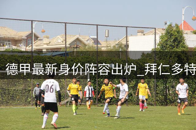 德甲最新身价阵容出炉 拜仁多特包揽全部席位